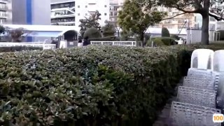 成人性用品网薇薇姐和闺蜜们彩色丝袜高跟足交调教狗奴